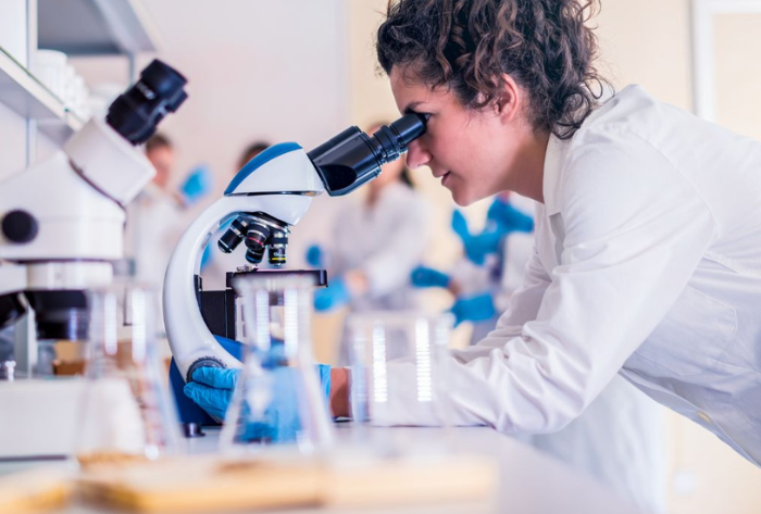 Felhívás kutatási pályázatra